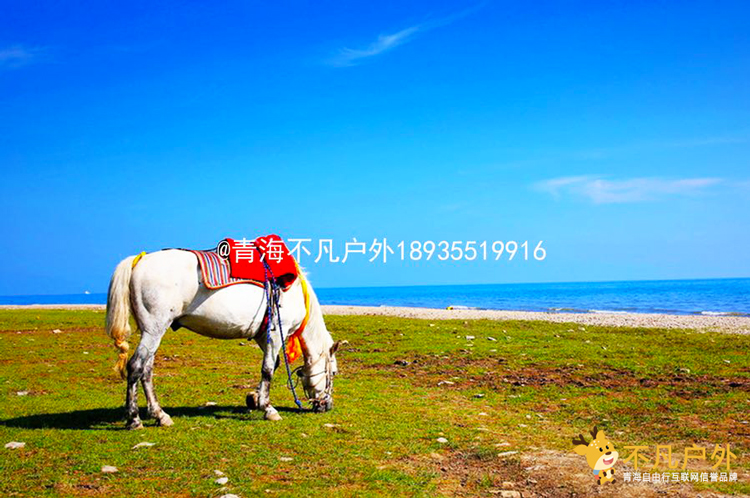 青海湖旅游,青海包车旅游,青海包车